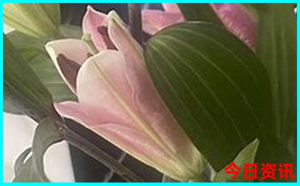 广州哪些地方适合带孩子玩